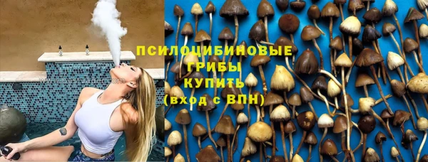 дмт Горнозаводск