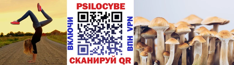 ОМГ ОМГ как зайти  Магадан  Псилоцибиновые грибы прущие грибы 