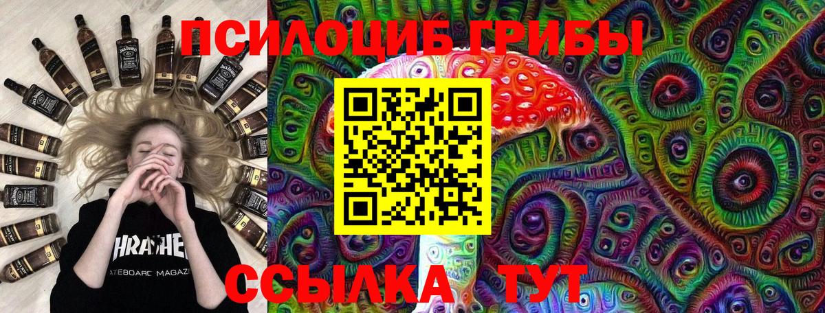Галлюциногенные грибы мицелий  Вход с VPN  Магадан 