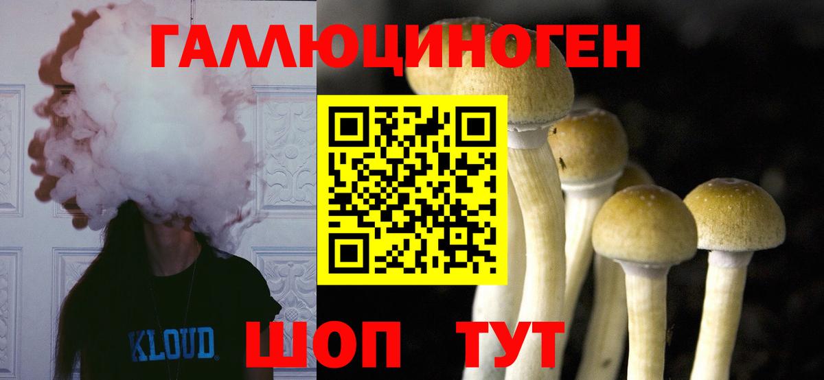 Псилоцибиновые грибы MAGIC MUSHROOMS Магадан