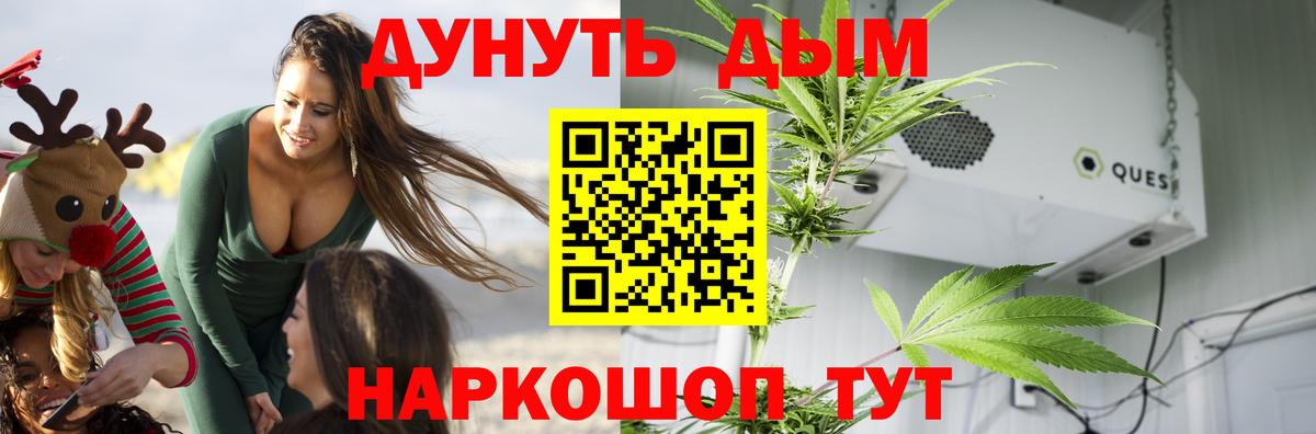 Бошки марихуана VHQ  Бошки марихуана семена  Канабис THC 21%  Шишки марихуана планчик  Вход с VPN  Магадан 